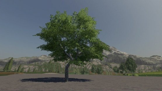 Мод «Maple Tree Passive Income» для Farming Simulator 2019