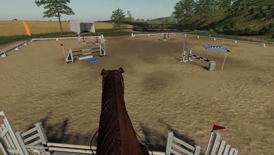 Мод «First Person Horse Riding Camera» для Farming Simulator 2019