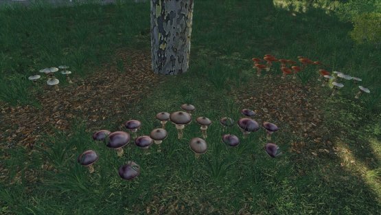 Мод «Mushrooms» для Farming Simulator 2019