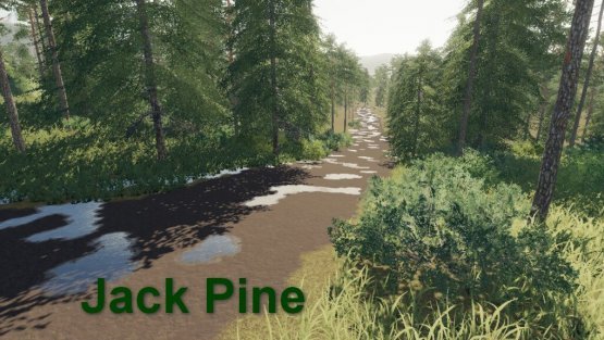 Карта «Jack Pine» для Farming Simulator 2019
