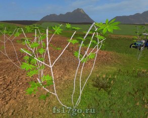 Мод «Placeable Mandioca» для Farming Simulator 2017