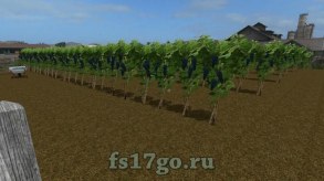 Виноградная ферма «Grape Farm» для Farming Simulator 2017