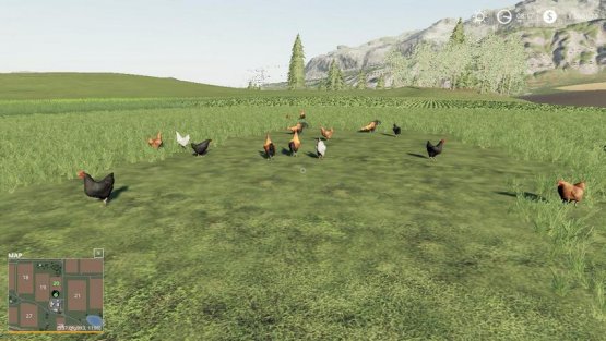 Мод «Free range chickens» для Farming Simulator 2019