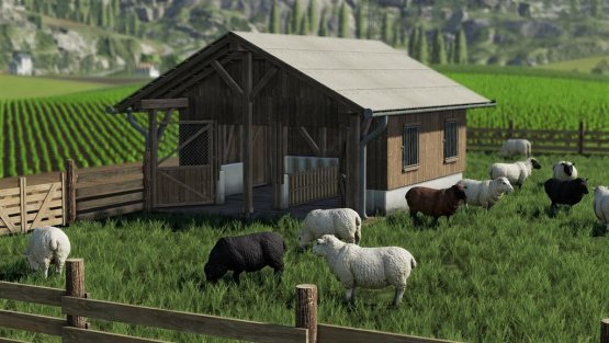 Мод «Sheep Pasture» для Farming Simulator 2019
