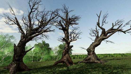 Мод «Ancient Tree Pack» для Farming Simulator 2019