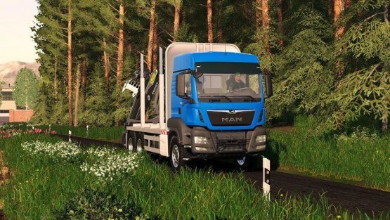 Мод «MAN TGS 33.500 Timber» для Farming Simulator 2019