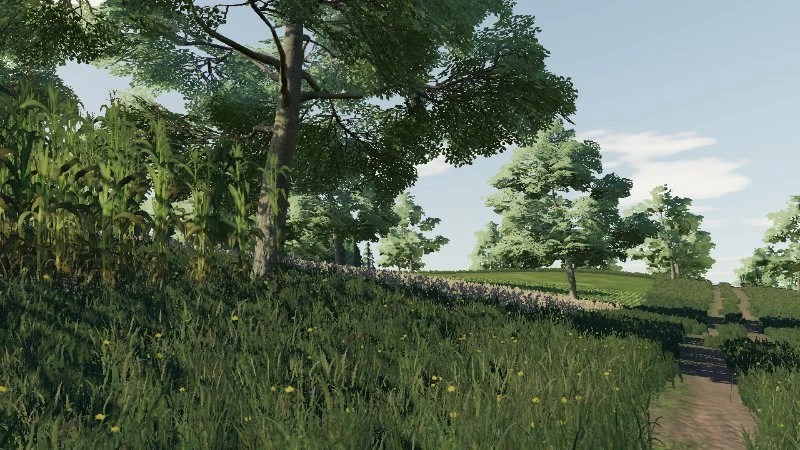Карта «Zlote Lany» для Farming Simulator 2019 главная картинка