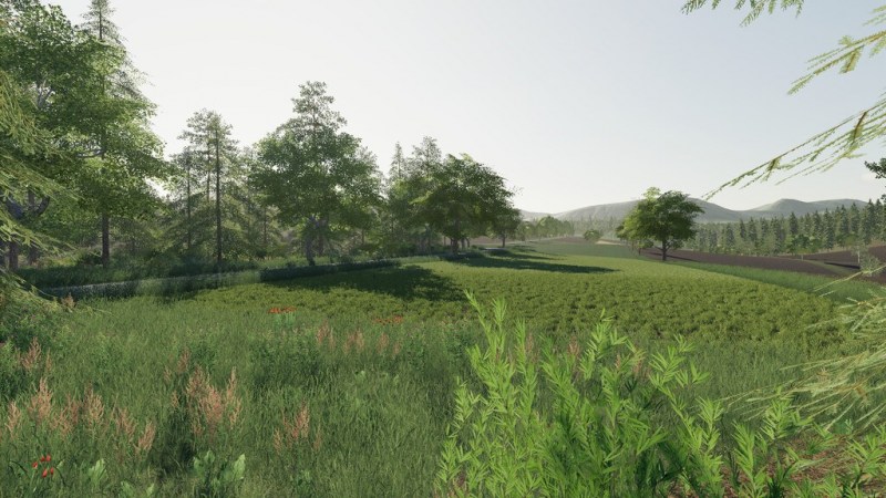 Карта «Delusion» для Farming Simulator 2019 главная картинка