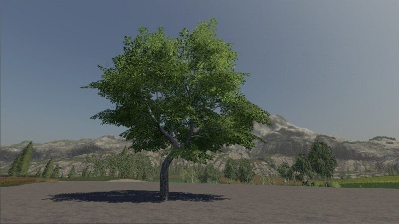 Мод «Maple Tree Passive Income» для Farming Simulator 2019 главная картинка