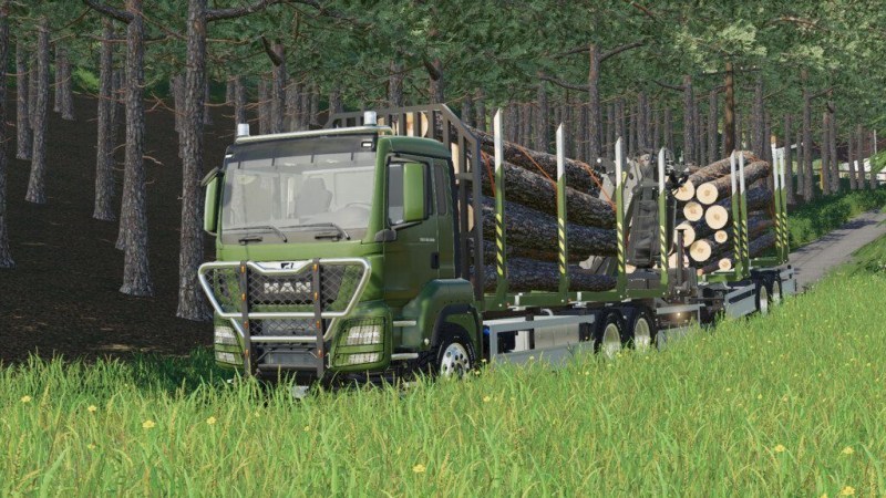 Мод «MAN TGS Shortwood» для Farming Simulator 2019 главная картинка