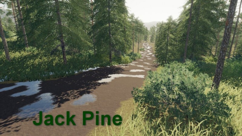 Карта «Jack Pine» для Farming Simulator 2019 главная картинка
