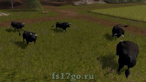 Размещаемые черные быки для Farming Simulator 17