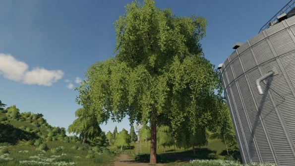 Мод «Размещаемое лиственное дерево» для Farming Simulator 2019