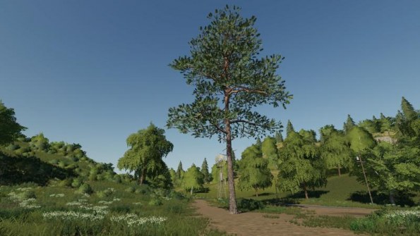 Мод «Размещаемое дерево – сосна» для Farming Simulator 2019