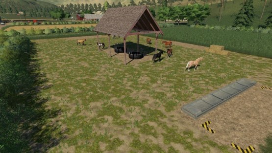 Мод «Открытое конное пастбище» для Farming Simulator 2019