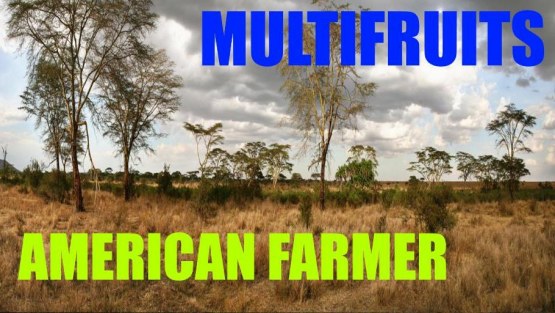 Карта «American Farmer» для Farming Simulator 2019