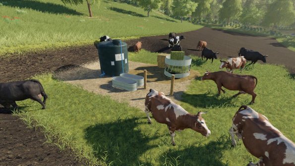 Мод «Open Cow Pasture» для Farming Simulator 2019