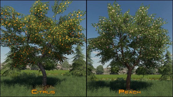 Мод «Placeable Fruit Trees Pack» для Farming Simulator 2019