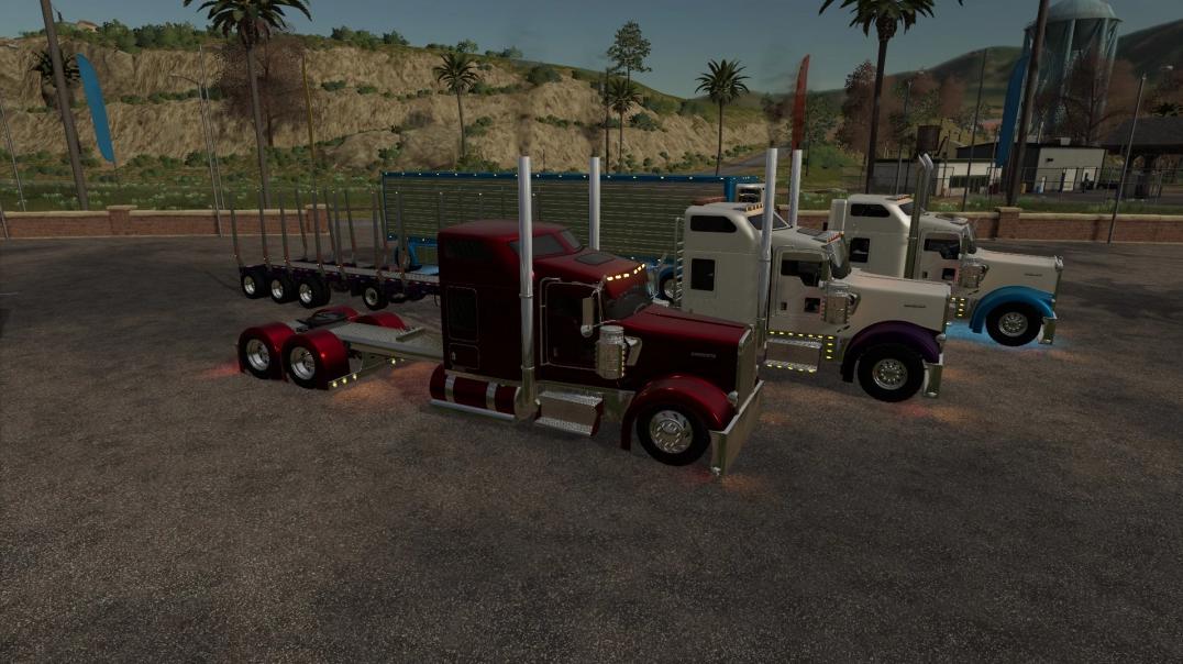 Kenworth w900 2019