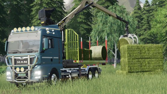 Мод «MAN TGX Crane HKL» для Farming Simulator 2019