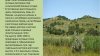 Карта «Село Лысогорка» для Farming Simulator 2017 7