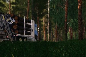 Мод «MAN TGS 33.500 Timber» для Farming Simulator 2019 4