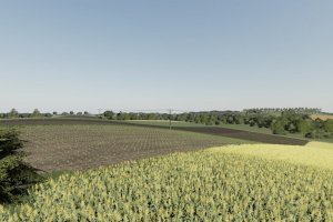 Карта «Dabrowka» для Farming Simulator 2019 5