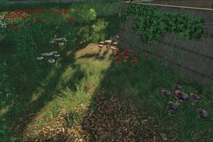 Мод «Mushrooms» для Farming Simulator 2019 2