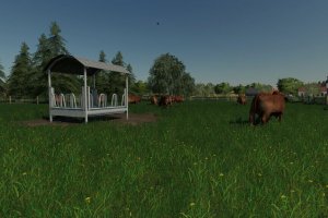 Мод «Cow Pasture» для Farming Simulator 2019 4