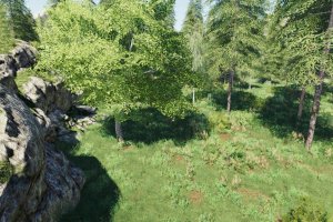 Карта «New Lands» для Farming Simulator 2019 6