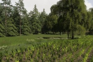 Карта «Stara Wies / Old Village» для Farming Simulator 2019 4