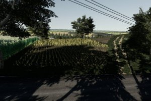 Карта «Gorzyste Pola» для Farming Simulator 2019 3