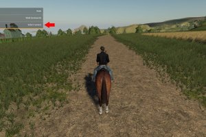 Мод «First Person Horse Riding Camera» для Farming Simulator 2019 2