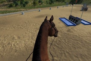 Мод «First Person Horse Riding Camera» для Farming Simulator 2019 5