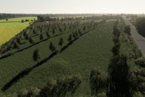 Карта «Zdziechow» для Farming Simulator 2019 10