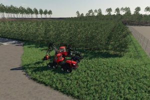 Карта «The Plantation» для Farming Simulator 2019 6