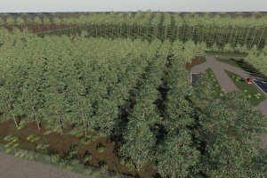Карта «The Plantation» для Farming Simulator 2019 5