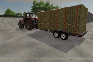 Мод «Small Flatbed Trailer With Tipper/Logging Options» для Farming Simulator 2019 2