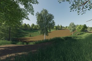 Карта «Delusion» для Farming Simulator 2019 4
