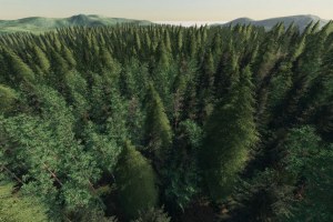 Карта «Geiselsberg Forestry Edition» для Farming Simulator 2019 6