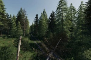 Карта «Geiselsberg Forestry Edition» для Farming Simulator 2019 5
