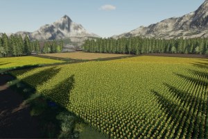 Карта «Waldsee» для Farming Simulator 2019 3