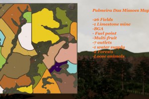 Карта «Palmeira Das Missoes» для Farming Simulator 2019 2