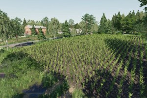 Карта «Wosnice» для Farming Simulator 2019 3